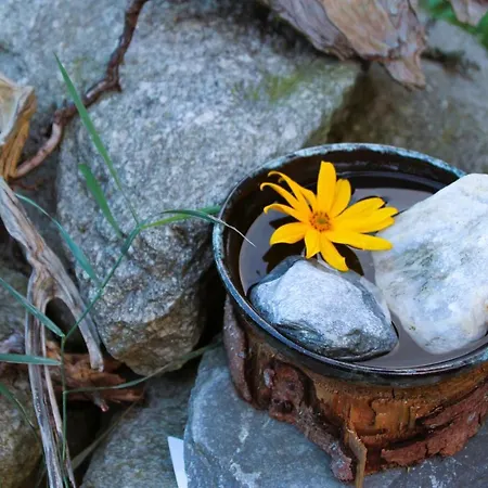 Apartament Haus Viktoria *