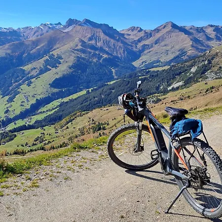 公寓 Haus Viktoria *