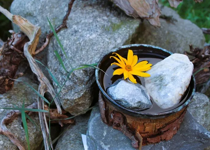 Apartmán Haus Viktoria *